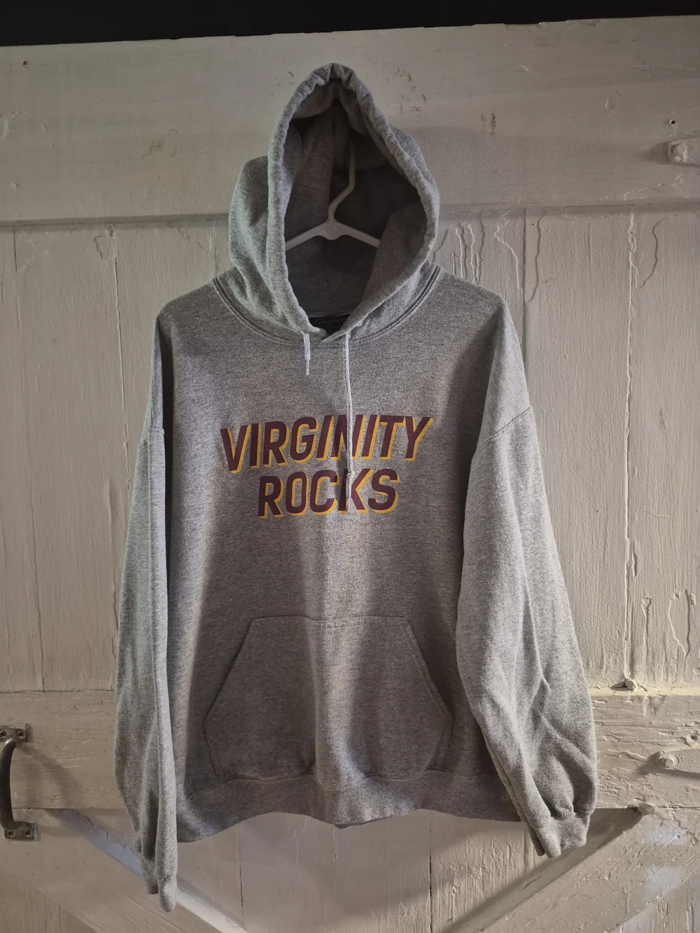 Danny Duncan Virginity Rocks Grey Hoodie Mens Large 24x25 50/50 Pullover 5075